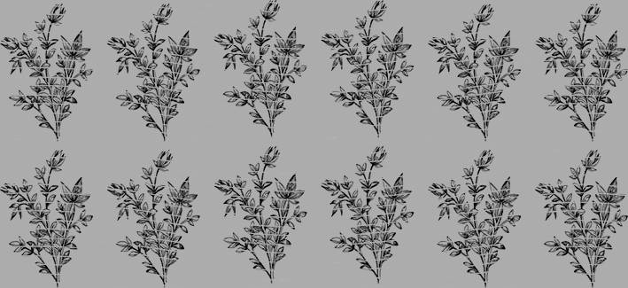 16oz Element-EN-1479